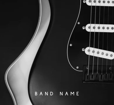 Fender American Professional on stage