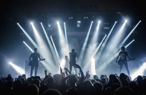 Concert crowd