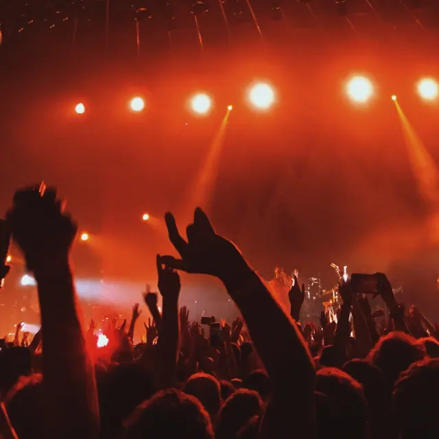 Concert audience